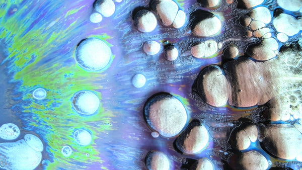 A Universe in a Cup（1）: The Divine Relic