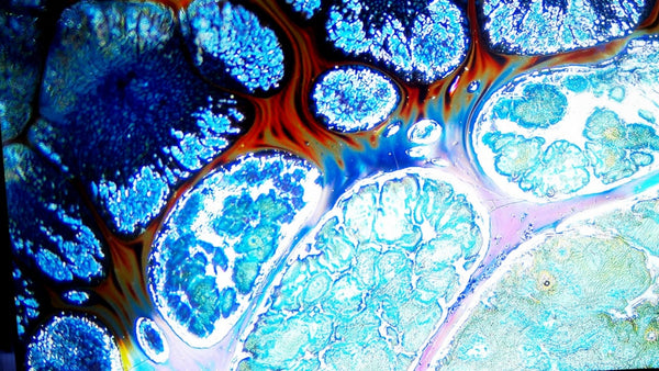 A Universe in a Cup（2）: Elemental Verses