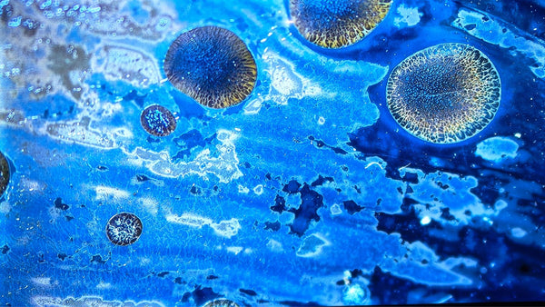 A Universe in a Cup（3）：Nebula Canvase