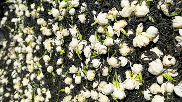 Traditional Jasmine Tea Scenting Process