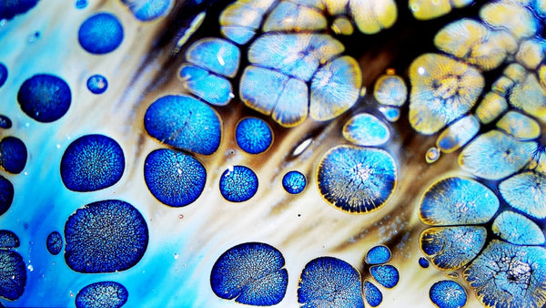 A Universe in a Cup（7）:Mythic Echoes.