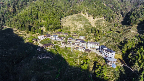 Guwang Keng：Heartland of Lapsang Souchong