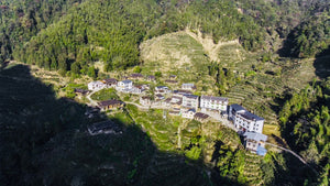 Exploring the Heartland of Lapsang Souchong: Guwang Keng (Part 2)