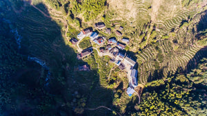 Exploring the Heartland of Lapsang Souchong: Guwang Keng (Part 1)