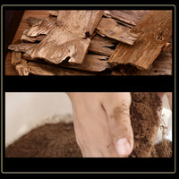 Kui Xing Scholar's Incense Sticks