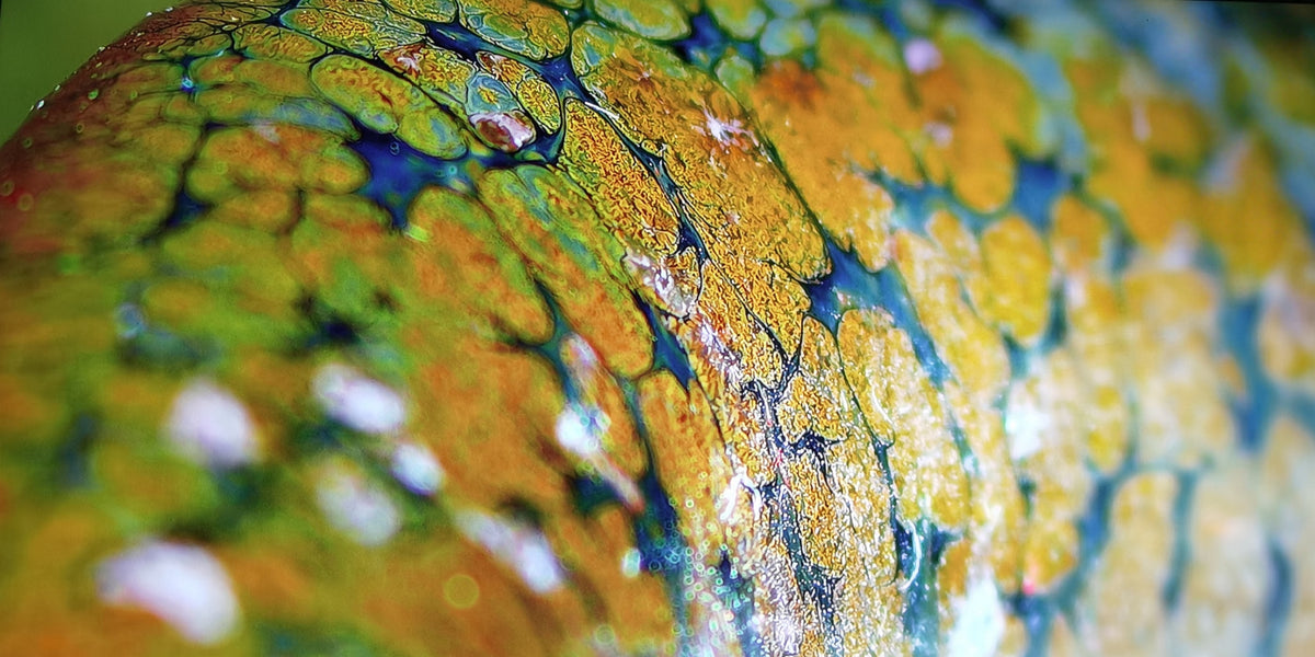 Aphrodite's Ethereal Bloom Meiping (Plum Vase)