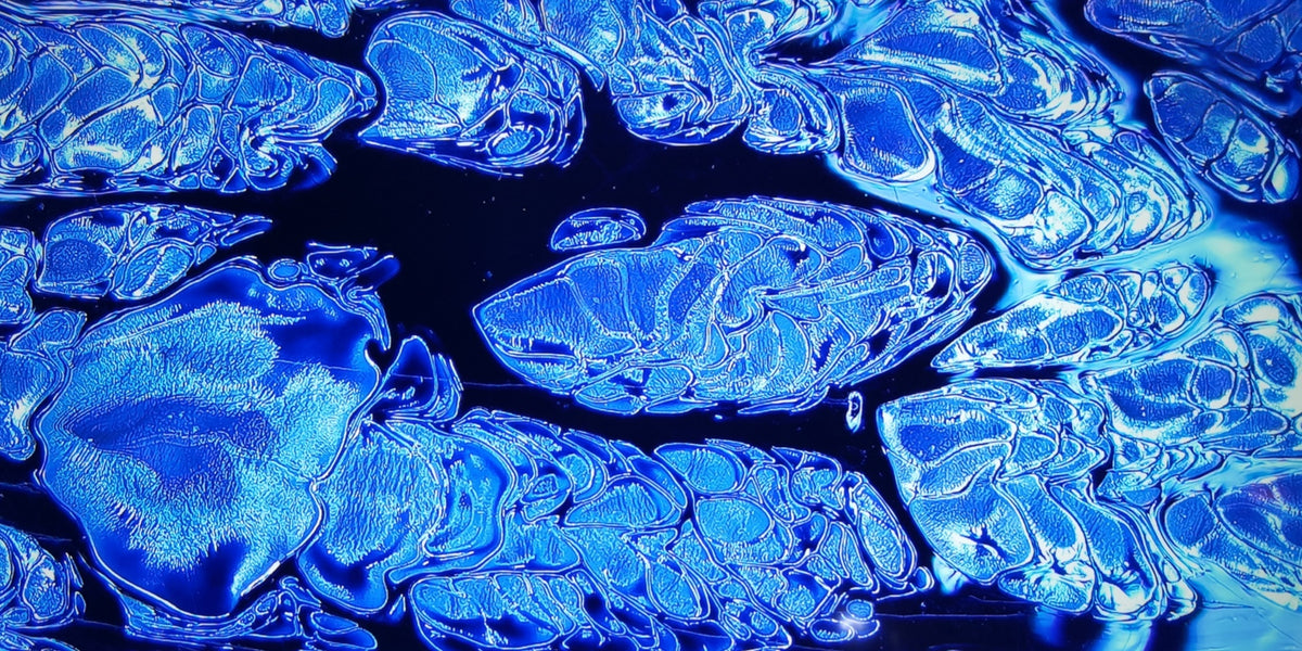 Lapis Lazuli of the Night oil-spot plum-blossom-mouth Yuhuchun vase