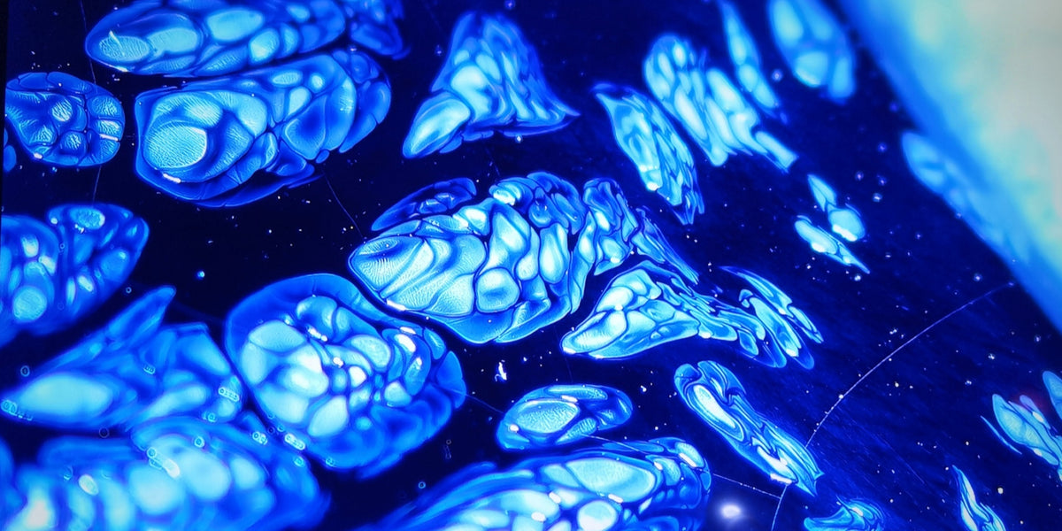 Lapis Lazuli of the Night oil-spot plum-blossom-mouth Yuhuchun vase