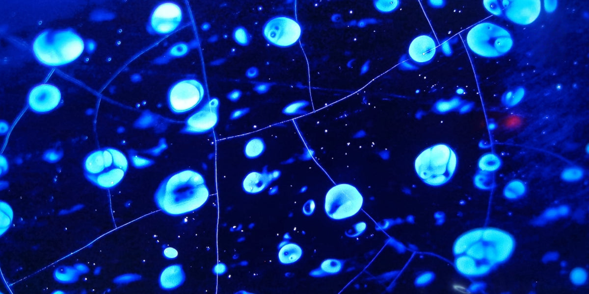 Starry Night of Olympus Meiping (Plum Vase)