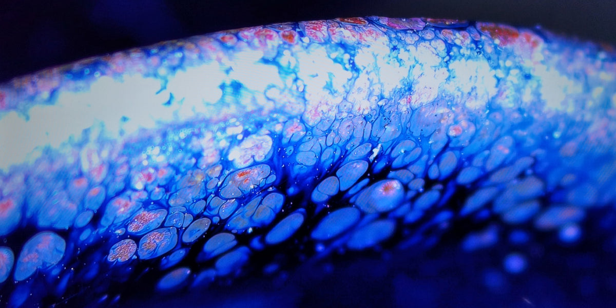 Starry Night of Olympus Meiping (Plum Vase)